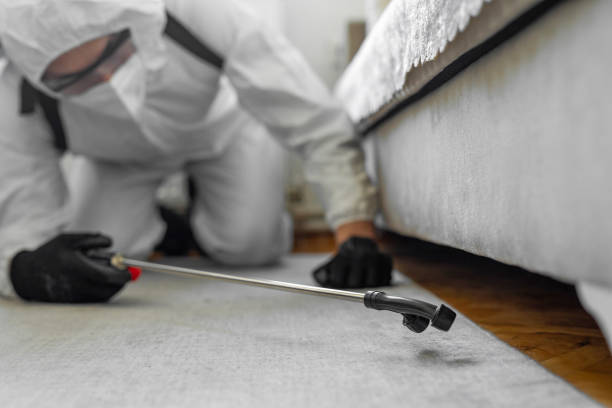 Professional Cockroach Control technician working in Sewall's Point, FL